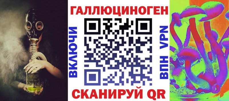 Купить где  Олонец  Псилоцибиновые грибы Magic Shrooms 