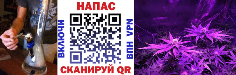 Шишки марихуана индика  Купить закладки  Олонец 